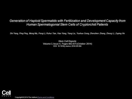 Generation of Haploid Spermatids with Fertilization and Development Capacity from Human Spermatogonial Stem Cells of Cryptorchid Patients Shi Yang, Ping.