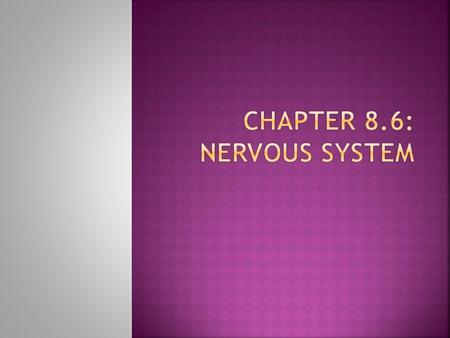 Chapter 8.6: Nervous system