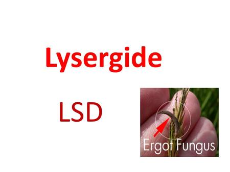 Lysergide LSD.