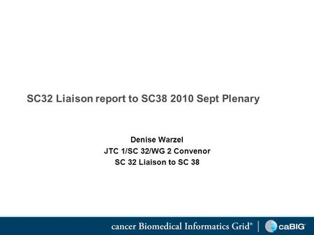 SC32 Liaison report to SC38 2010 Sept Plenary Denise Warzel JTC 1/SC 32/WG 2 Convenor SC 32 Liaison to SC 38.