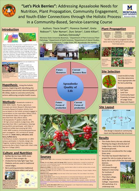 “Let’s Pick Berries”: Addressing Apsaalooke Needs for Nutrition, Plant Propagation, Community Engagement, and Youth-Elder Connections through the Holistic.