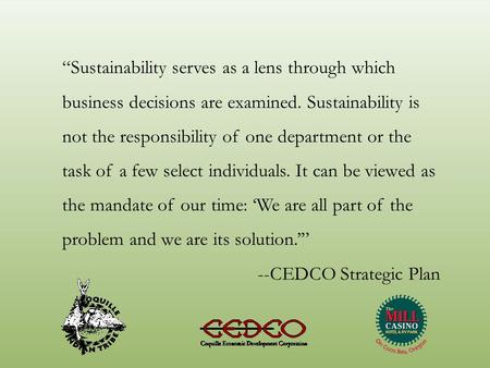 “Sustainability serves as a lens through which business decisions are examined. Sustainability is not the responsibility of one department or the task.