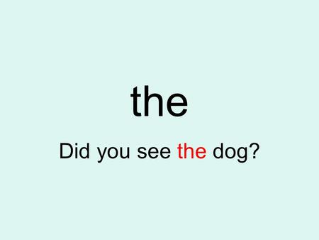 The Did you see the dog?.