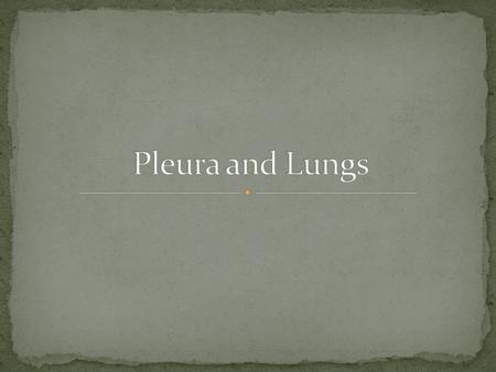 Pleura and Lungs.