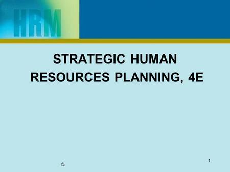 STRATEGIC HUMAN RESOURCES PLANNING, 4E