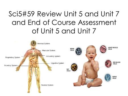 Sci5#59 Review Unit 5 and Unit 7 and End of Course Assessment of Unit 5 and Unit 7.