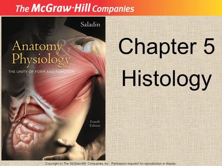 Chapter 5 Histology Copyright (c) The McGraw-Hill Companies, Inc. Permission required for reproduction or display.