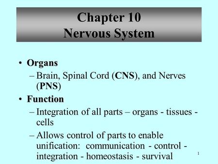 1 OrgansOrgans –Brain, Spinal Cord (CNS), and Nerves (PNS) FunctionFunction –Integration of all parts – organs - tissues - cells –Allows control of parts.