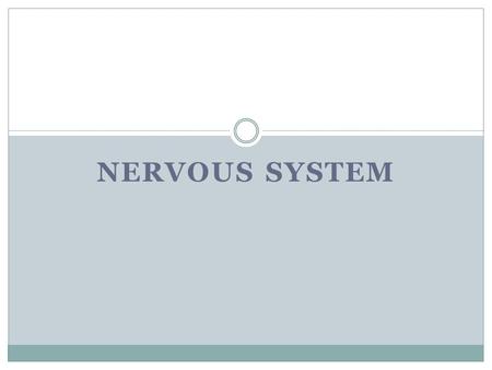 NERVOUS SYSTEM.