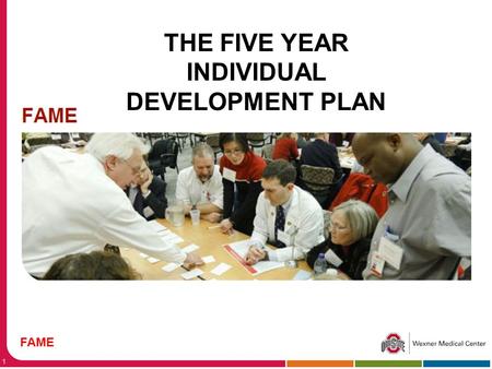 1 FAME THE FIVE YEAR INDIVIDUAL DEVELOPMENT PLAN.