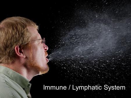 Immune / Lymphatic System