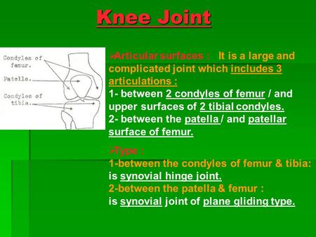 Knee Joint Articular surfaces : It is a large and complicated joint which includes 3 articulations :