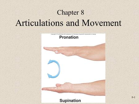 Articulations and Movement