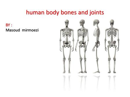 Human body bones and joints BY : Masoud mirmoezi.