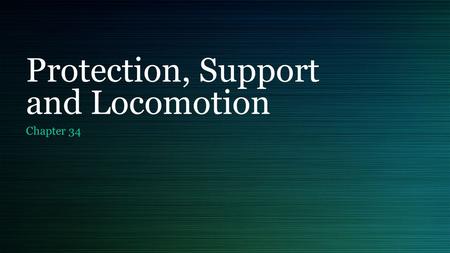 Protection, Support and Locomotion Chapter 34. Skin The body’s first line of defense against pathogens. Part of the Integumentary System Made up of skin.