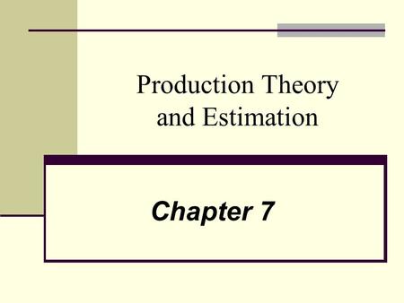 Production Theory and Estimation