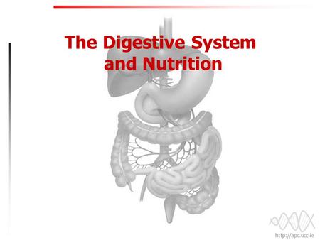 The Digestive System and Nutrition