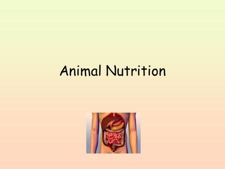 Animal Nutrition.