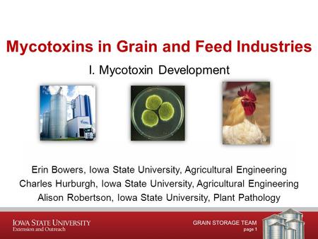 Mycotoxins in Grain and Feed Industries