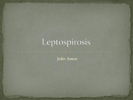 Julie Amos. Leptospira biology4kids.com Dogs suite101.com Fresh water traveldoctor.co.uk.