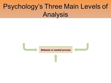 Psychology’s Three Main Levels of Analysis