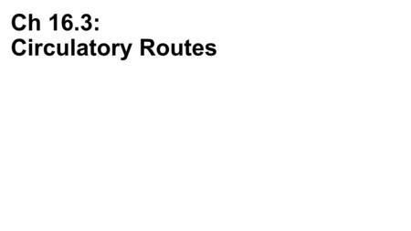 Ch 16.3: Circulatory Routes