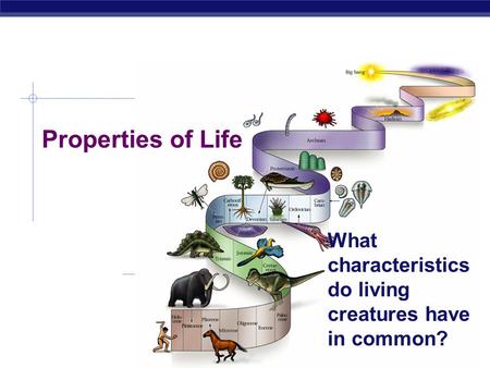 What characteristics do living creatures have in common?