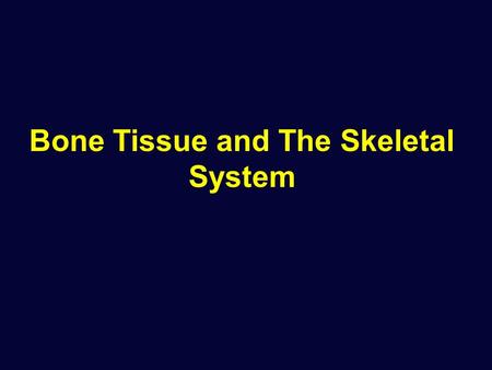 Bone Tissue and The Skeletal System. The Skeletal System Functions of the Skeletal System Support against gravity Leverage for muscle action - movement.