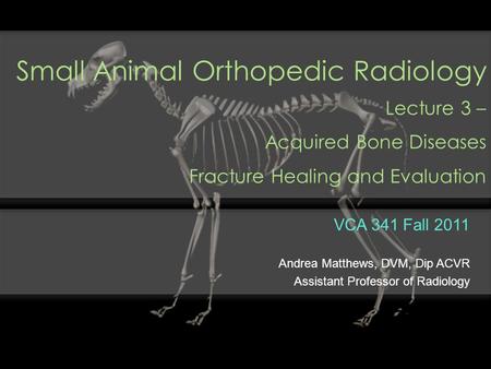 Small Animal Orthopedic Radiology Lecture 3 –