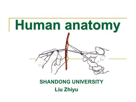 SHANDONG UNIVERSITY Liu Zhiyu