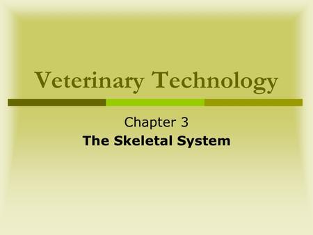 Veterinary Technology