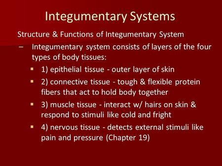 Integumentary Systems