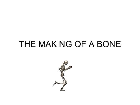 THE MAKING OF A BONE.