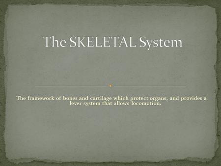 The framework of bones and cartilage which protect organs, and provides a lever system that allows locomotion.