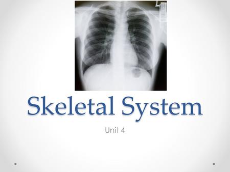 Skeletal System Unit 4.