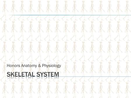 Honors Anatomy & Physiology. A. Supporting connective tissue 1. Matrix- Contains numerous fibers & in some cases, insoluble salts B. Cartilage – Support,