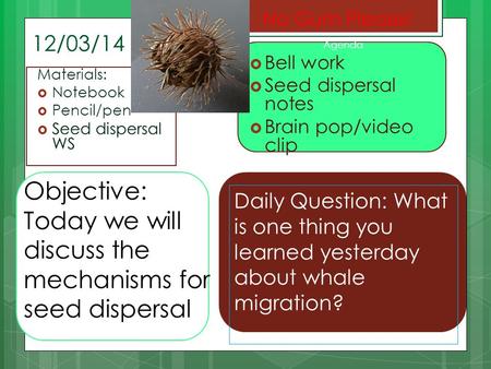 Today we will discuss the mechanisms for seed dispersal