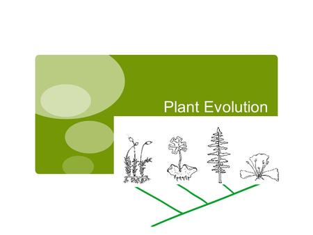 Plant Evolution.