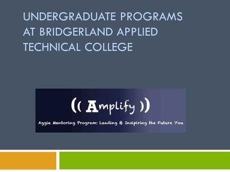 UNDERGRADUATE PROGRAMS AT BRIDGERLAND APPLIED TECHNICAL COLLEGE.