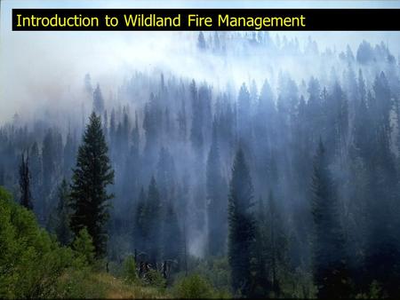 Introduction to Wildland Fire Management