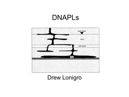 DNAPLs Drew Lonigro.