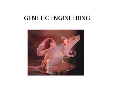 GENETIC ENGINEERING. Genetic Engineering Some techniques in GE use bacteria and viruses to transfer genetic information Bacteria- biotic Viruses- abiotic.