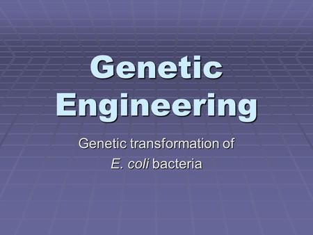 Genetic transformation of E. coli bacteria