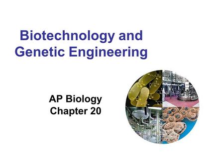 Biotechnology and Genetic Engineering AP Biology Chapter 20.