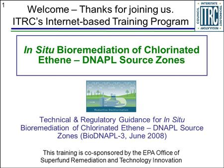 In Situ Bioremediation of Chlorinated Ethene – DNAPL Source Zones