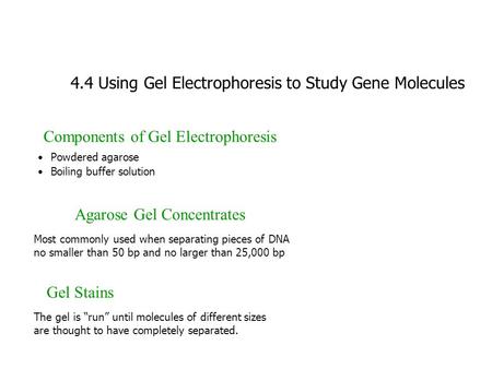 4.4 Using Gel Electrophoresis to Study Gene Molecules