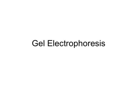 Gel Electrophoresis.