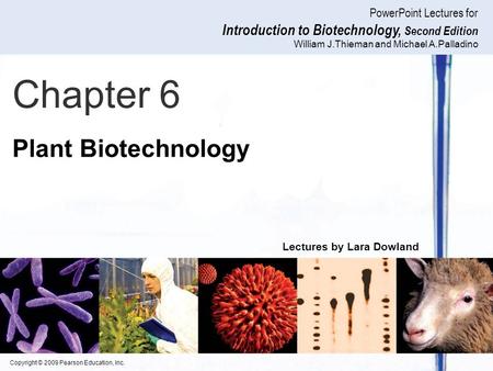 Chapter 6 Plant Biotechnology.