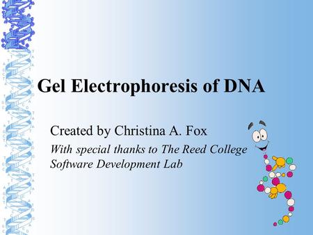 Gel Electrophoresis of DNA