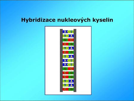 Spawned naming of related techniques: Southern blot (DNA) Northern blot (RNA) Western blot (Protein) Eastern blot (???)